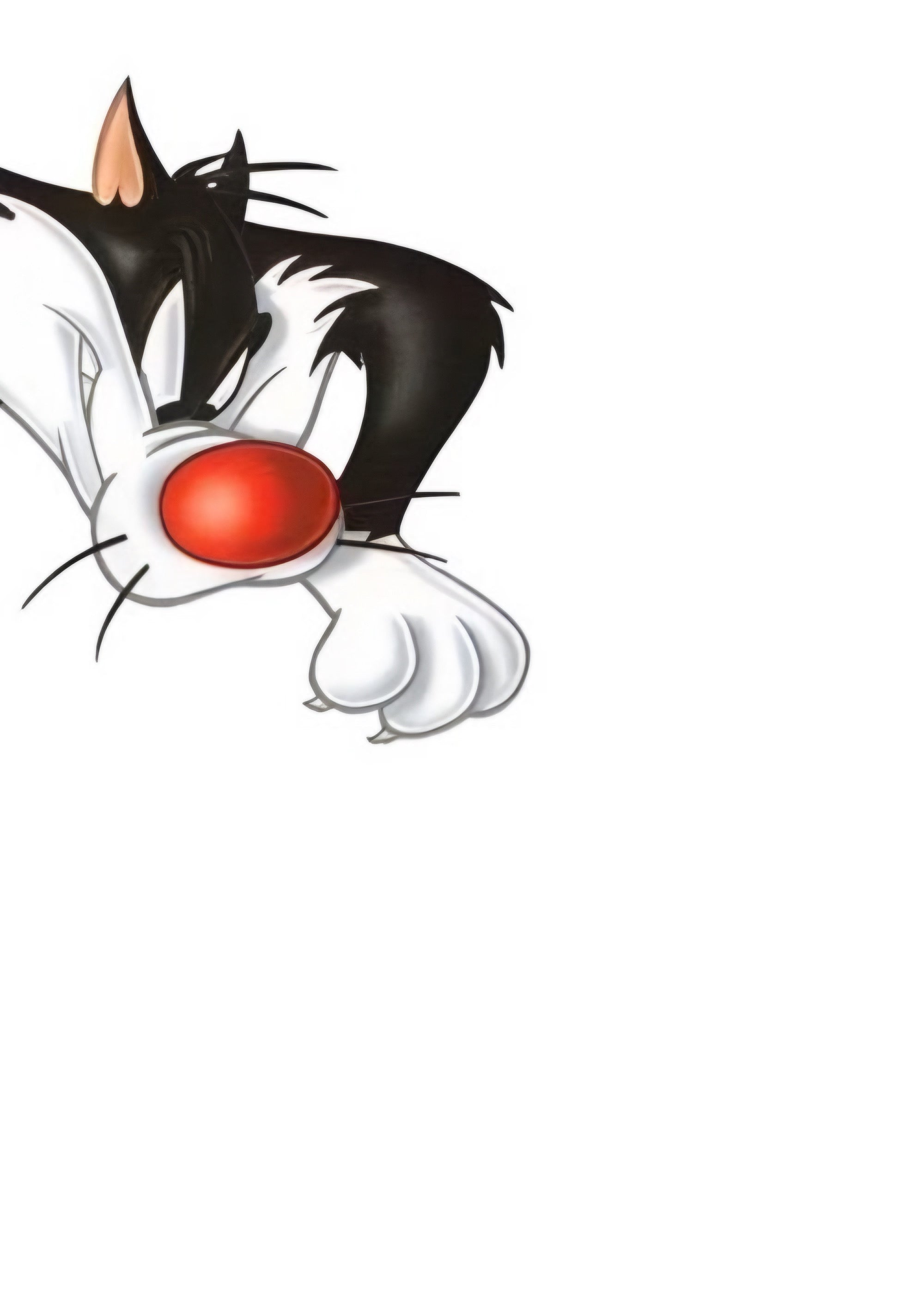 Sylvester Cat