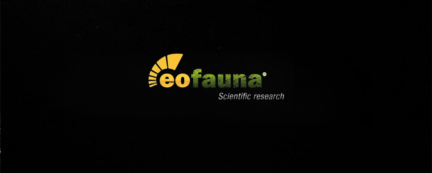 Eofauna