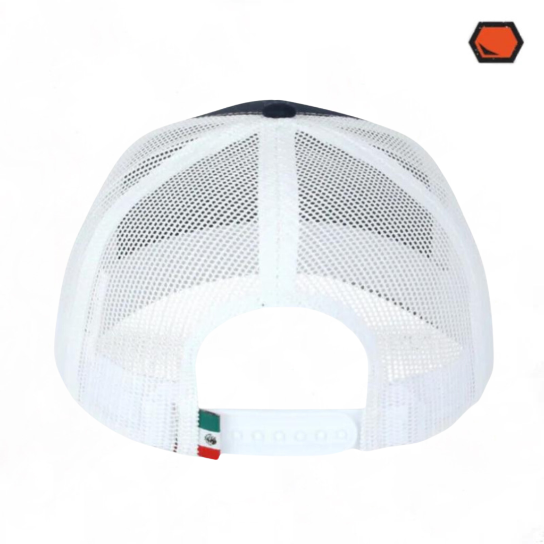 Gorra DC Comics Aquaman Logo Clásico Tricolor Tipo Trucker Premium