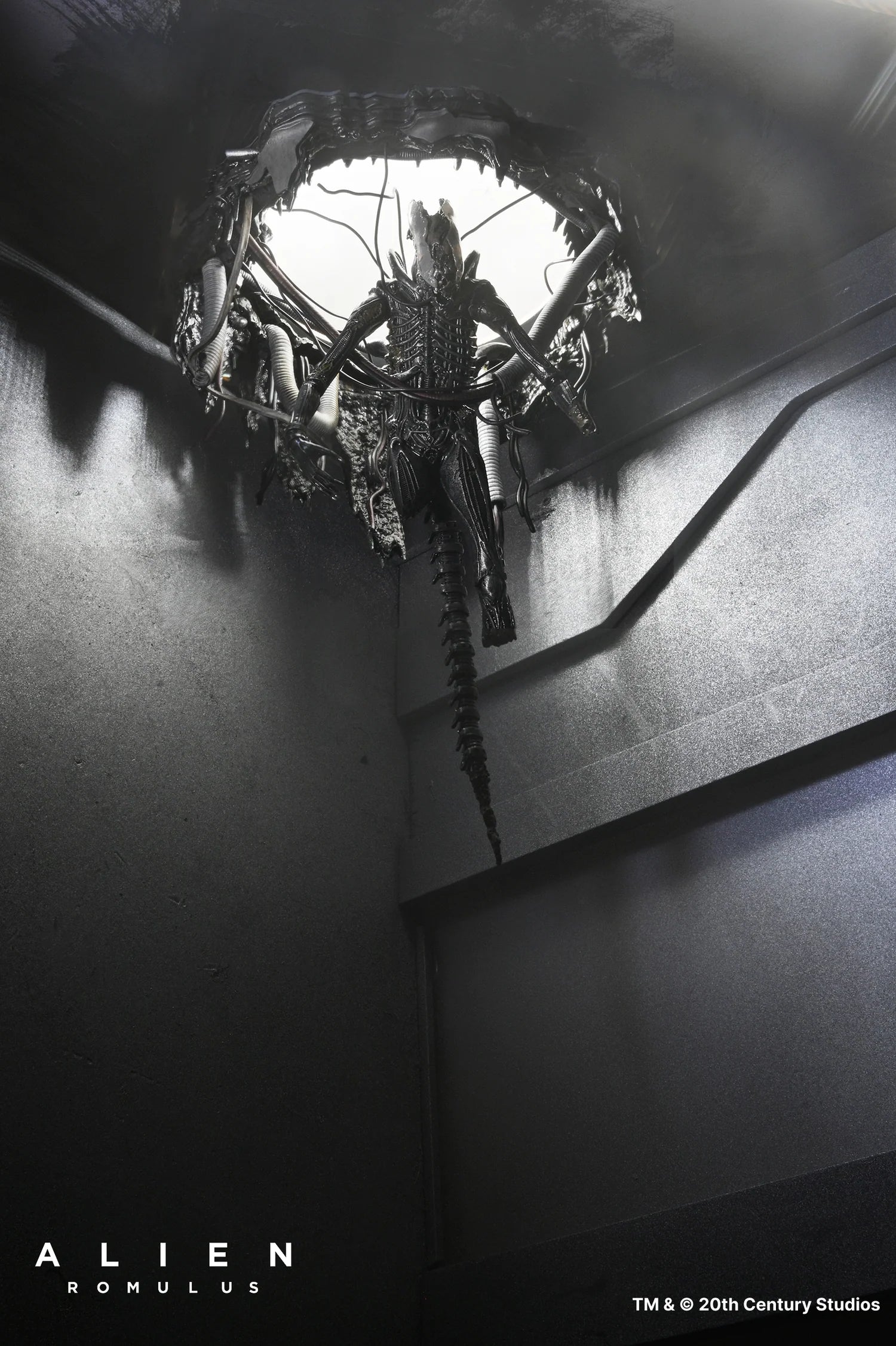 Set Diorama NECA Alien Romulus Suspended Lab Xenomorph XX121