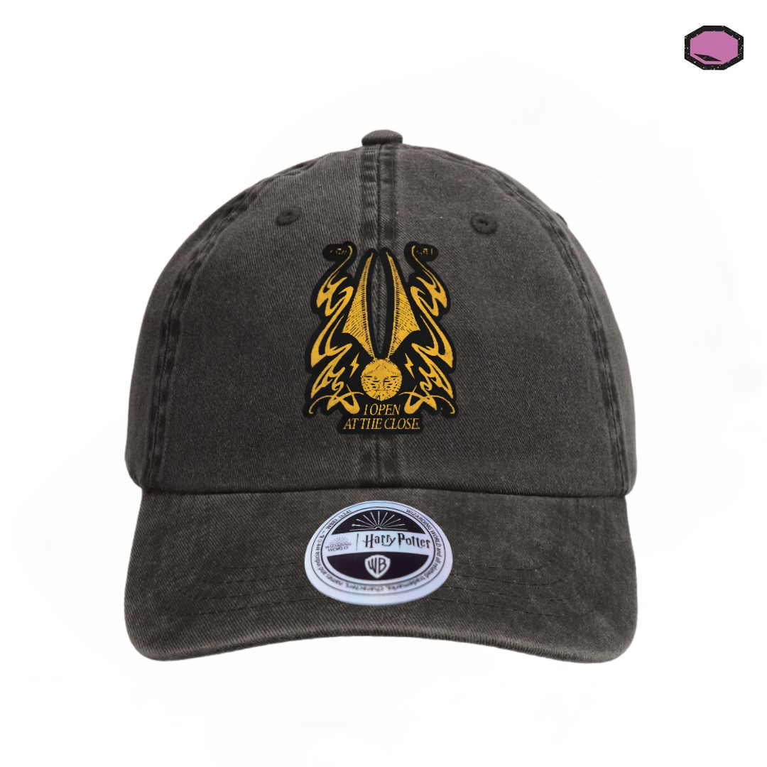 Gorra Harry Potter “I open at the close” Gris Vintage
