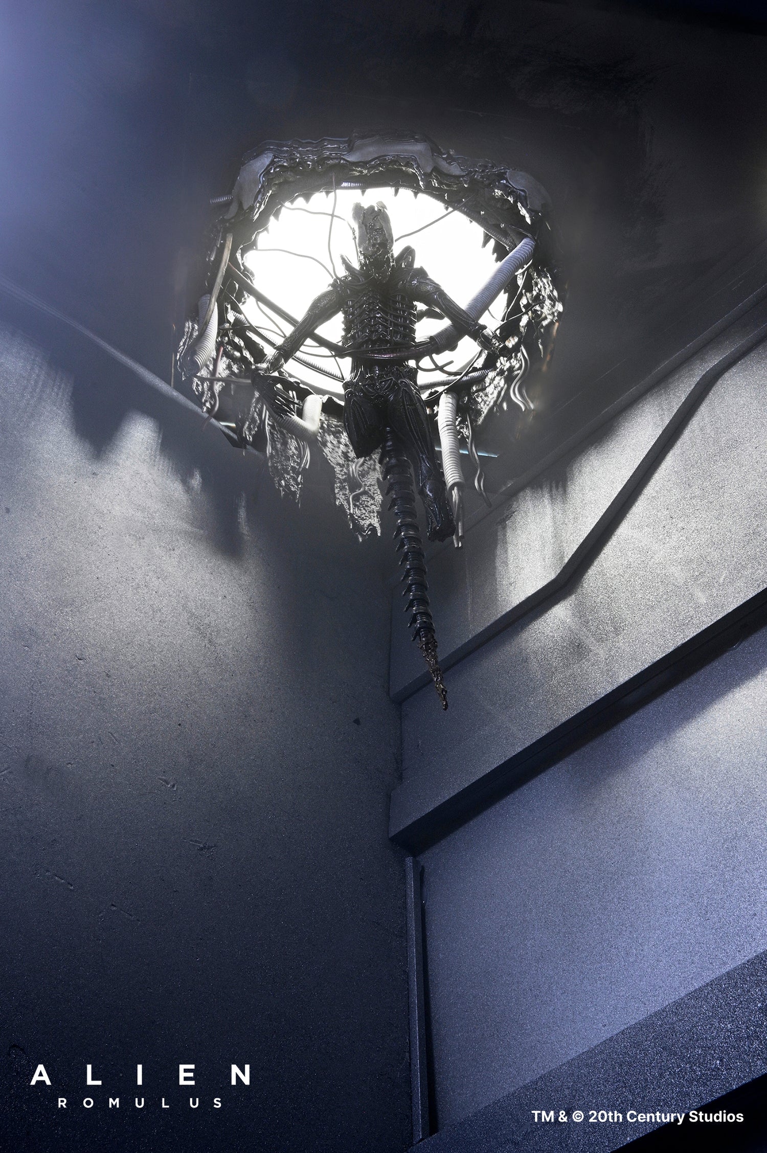 Set Diorama NECA Alien Romulus Suspended Lab Xenomorph XX121