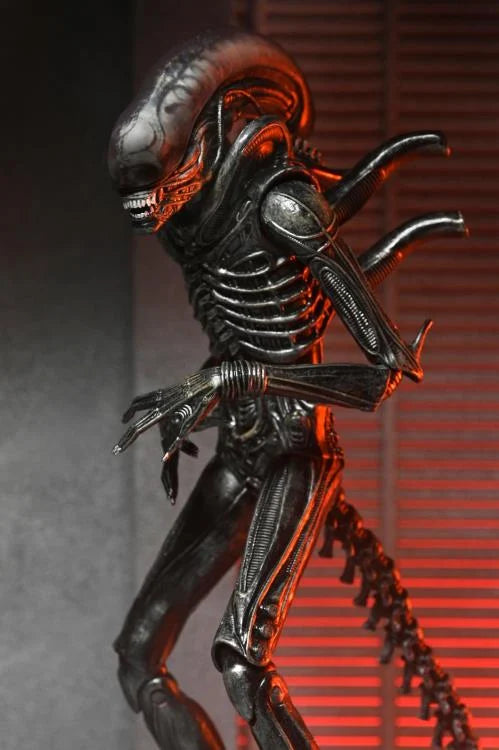 Figura NECA Alien Romulus Xenomorph XX121 Versión Ultimate