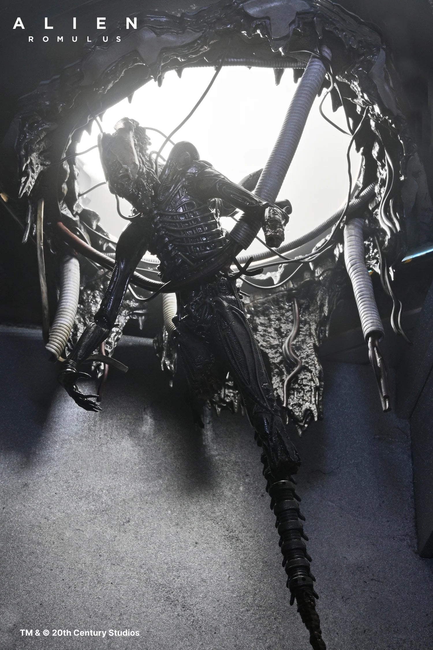 Set Diorama NECA Alien Romulus Suspended Lab Xenomorph XX121