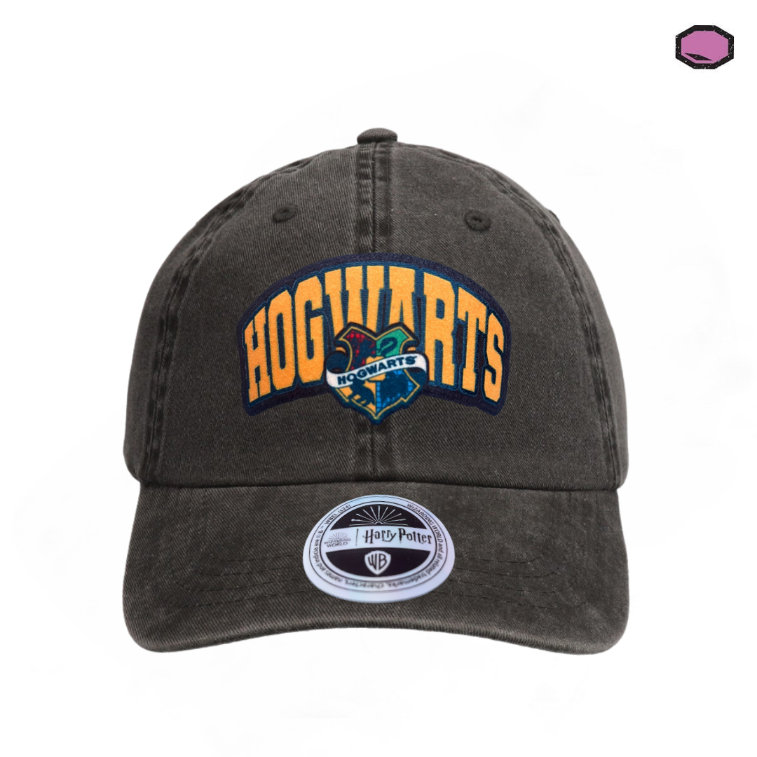 Gorra Harry Potter Hogwarts “Draco Dormiens Nunquam Titillandus” Gris Tipo Deslavada