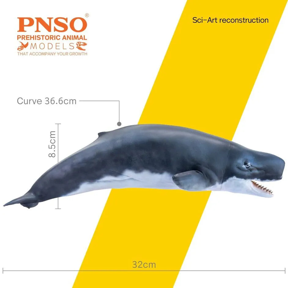 Figura PNSO Requena The Livyatan