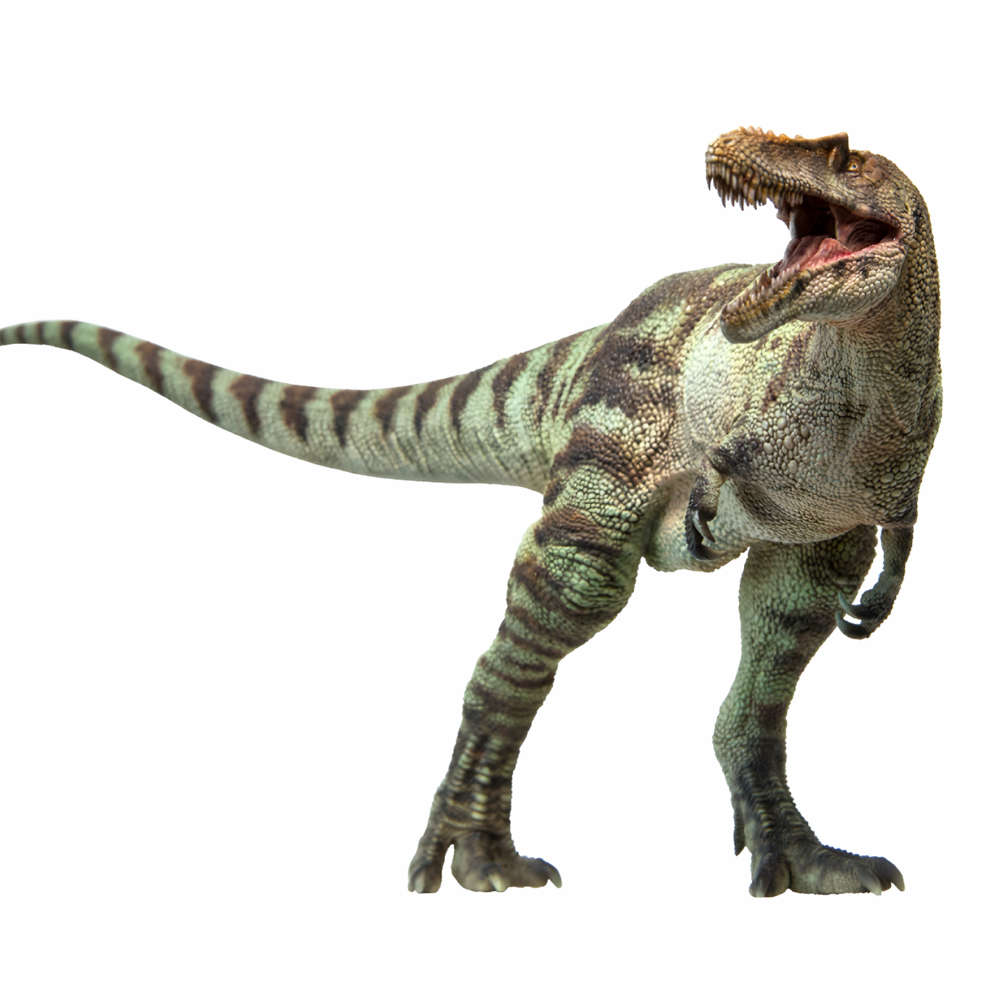 Figura PNSO A-Shu The Qianzhosaurus