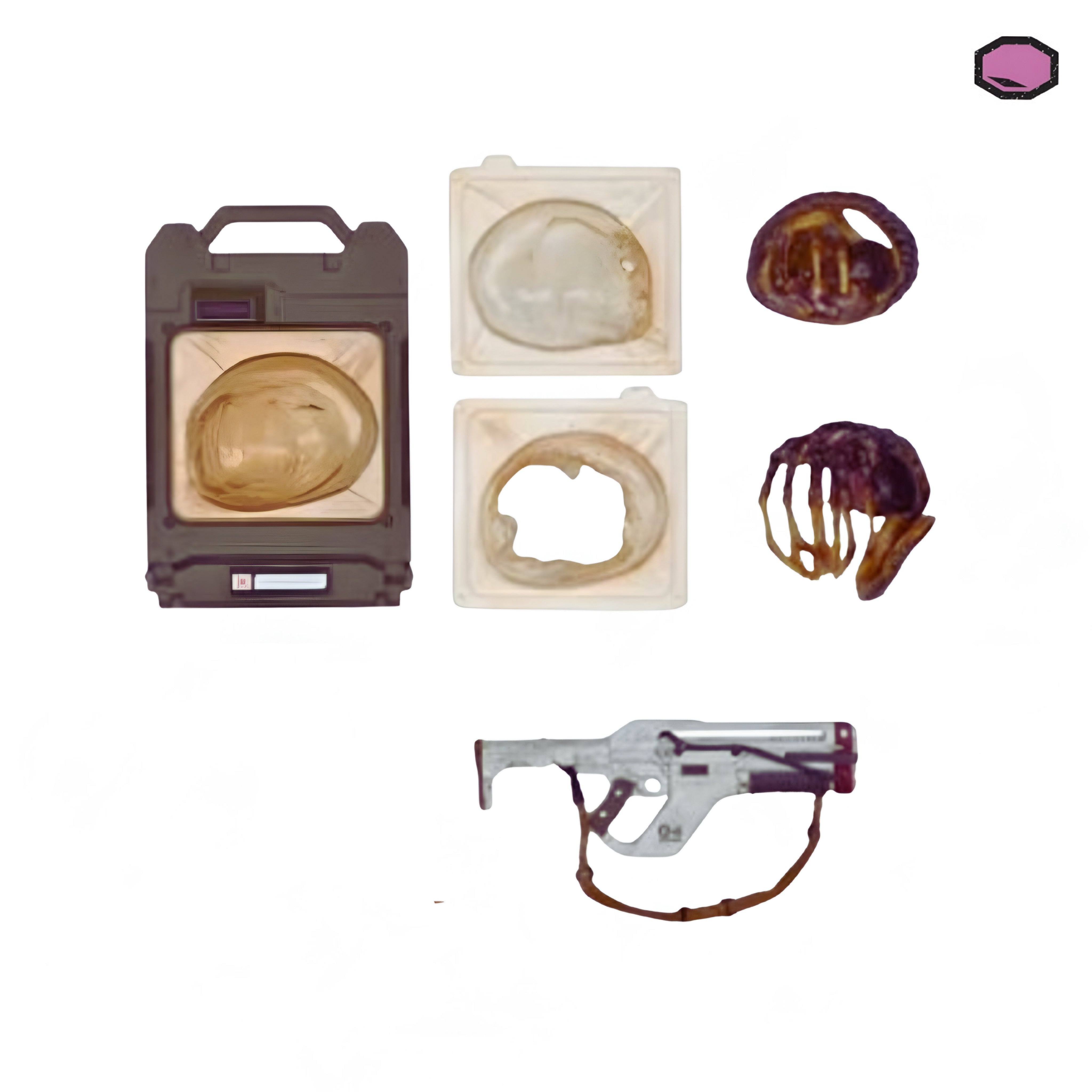 Accesorios NECA Alien Romulus Cryo frame case with Facehugger, Model F44AA Pulse Rifle Accessory & Facehugger