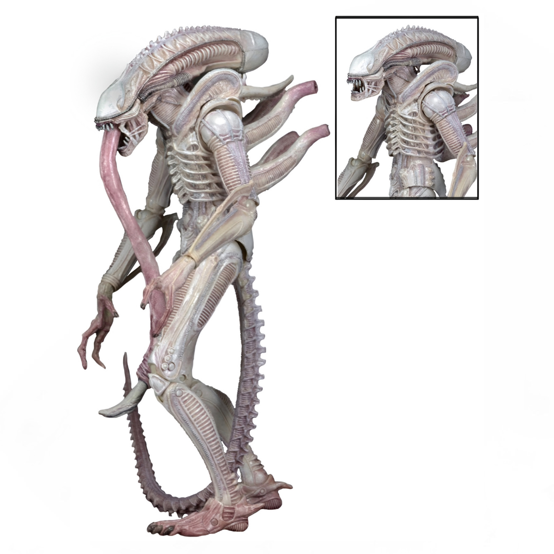 Figura NECA Aliens Serie 9 Xenomorph Albino Drone