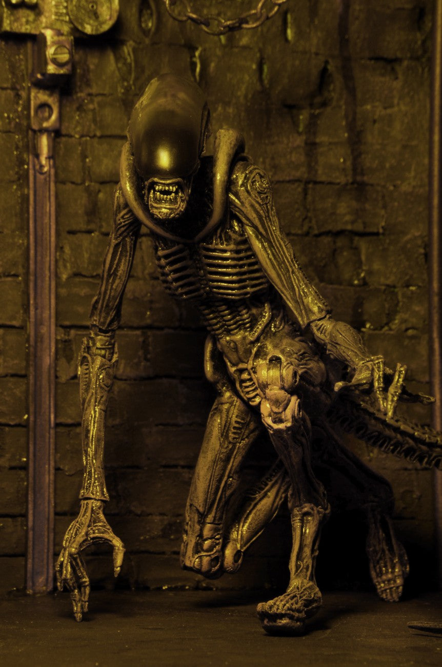 Figura NECA Alien 3 Serie 8 Dog Alien Versión Gris