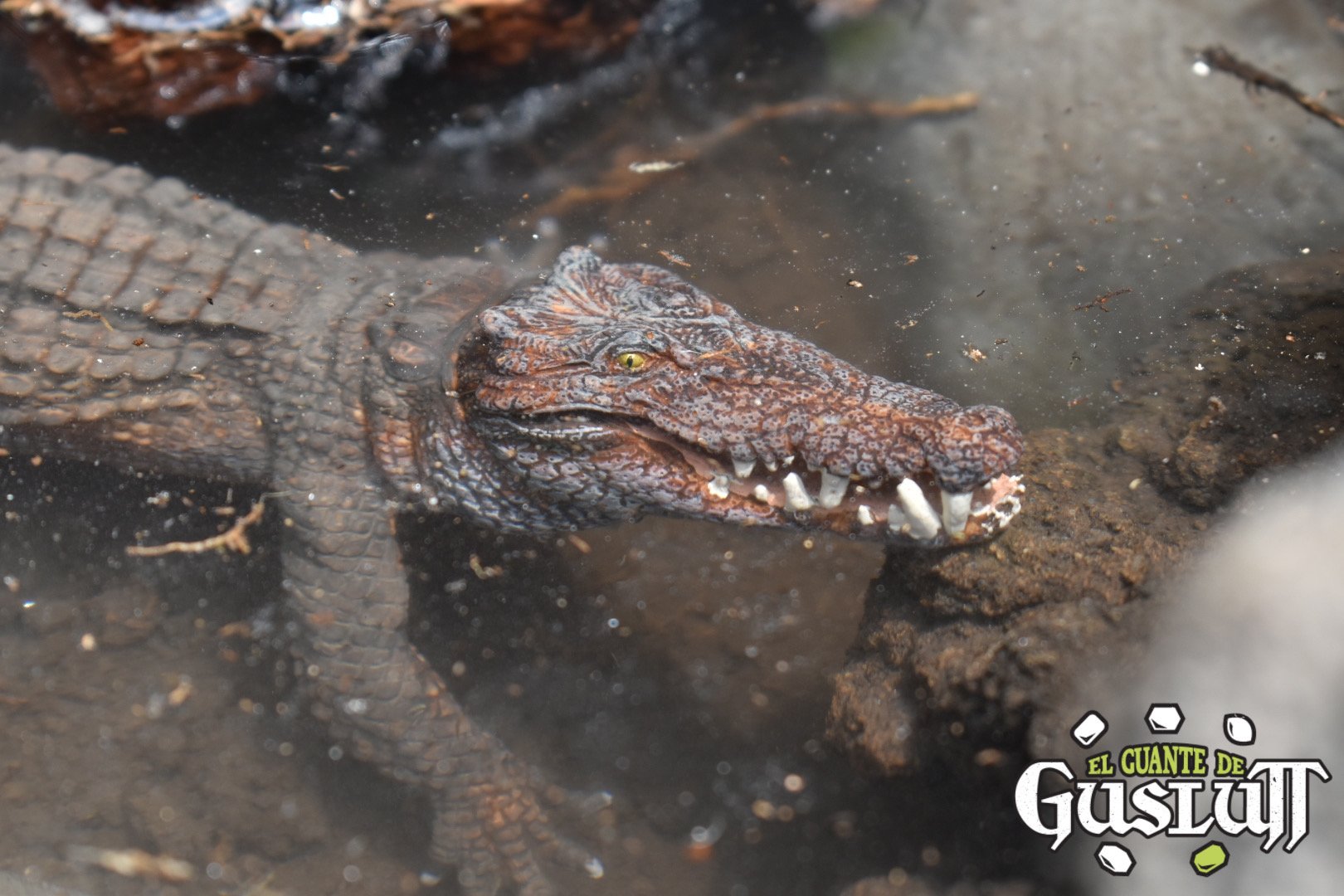 Papo Kaprosuchus - El Guante de Guslutt