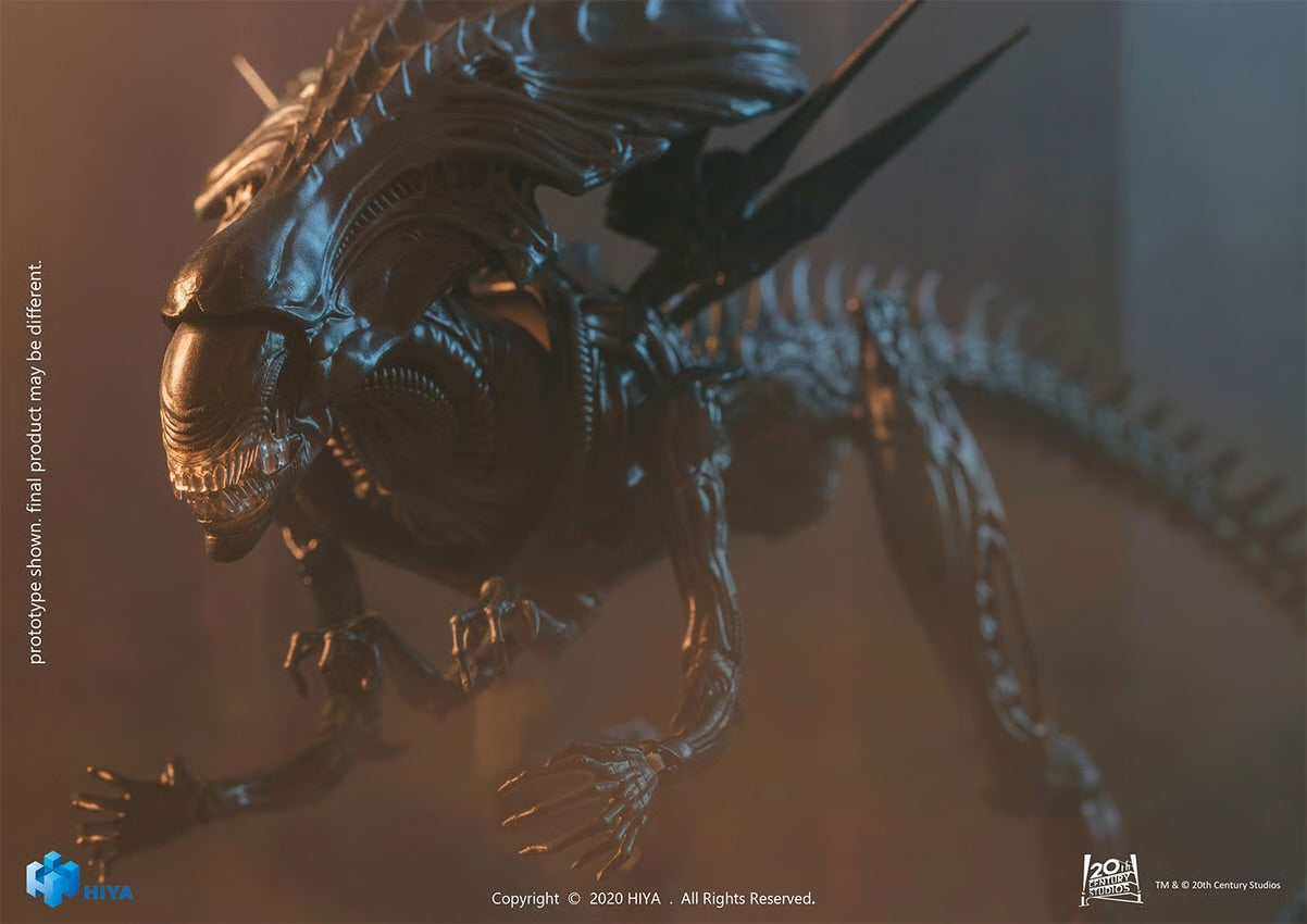Figura Hiya Toys Alien vs Predator Alien Queen Escala 1/18