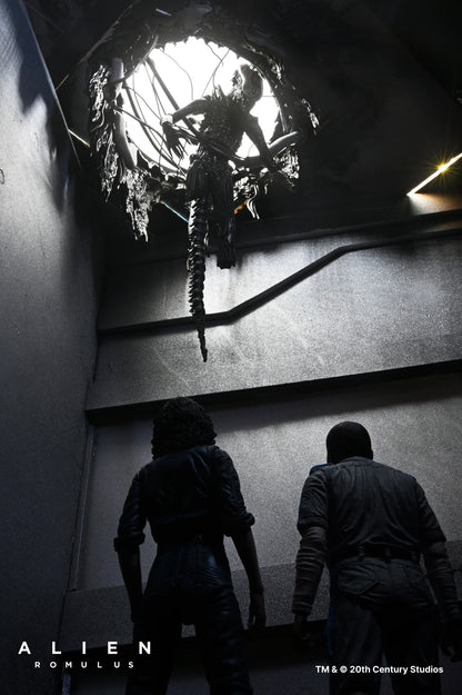 Set Diorama NECA Alien Romulus Suspended Lab Xenomorph XX121