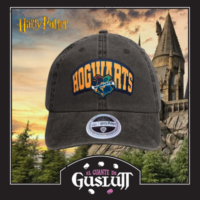 Gorra Harry Potter Hogwarts “Draco Dormiens Nunquam Titillandus” Gris Tipo Deslavada