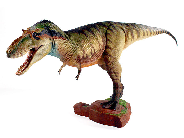 Beasts of the Mesozoic “Albertosaurus Sarcophagus”