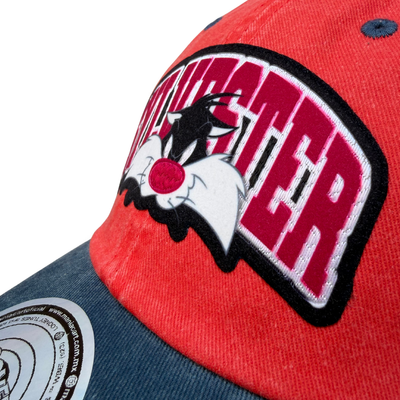 Gorra Looney Tunes Sylvester Cat Roja/Azul Tipo Deslavada