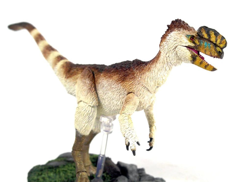 Beasts of the Mesozoic “Proceratosaurus Bradleyi”