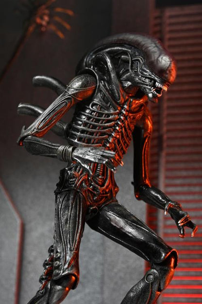 Figura NECA Alien Romulus Xenomorph XX121 Versión Ultimate