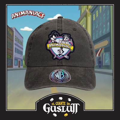 Gorra Animaniacs Logo Clásico Gris Tipo Deslavada