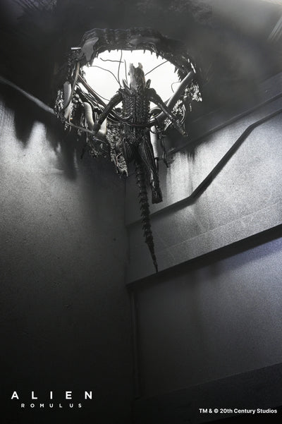 Set Diorama NECA Alien Romulus Suspended Lab Xenomorph XX121