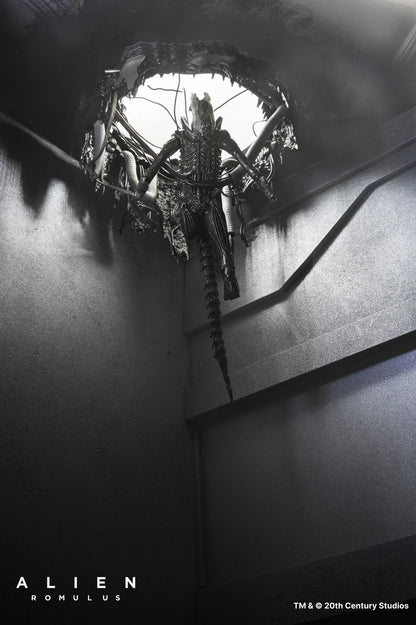 Set Diorama NECA Alien Romulus Suspended Lab Xenomorph XX121