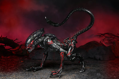 Figura NECA Tributo Kenner Night Cougar Alien Versión Ultimate
