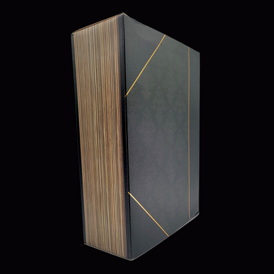 Figura REBOR Set de Disección Compsognathus Longipes