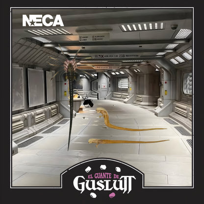 Accesorios Loose NECA Alien Romulus Facehugger and Chestbursters