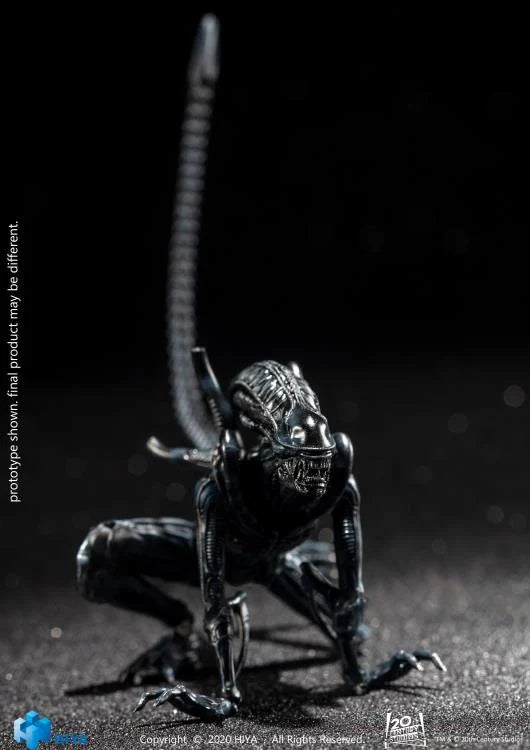 Figura Hiya Toys Aliens Crouching Alien Warrior Escala 1/18