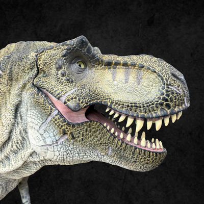Estatua Edel Toys Tyrannosaurus Rex Emperor Museum Series Escala 1/35