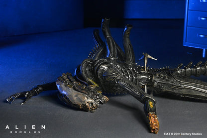 Set Diorama NECA Alien Romulus Suspended Lab Xenomorph XX121