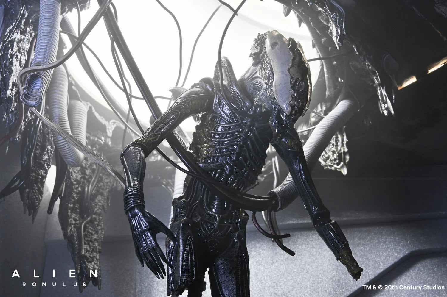 Set Diorama NECA Alien Romulus Suspended Lab Xenomorph XX121