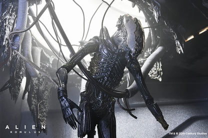 Set Diorama NECA Alien Romulus Suspended Lab Xenomorph XX121