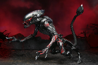Figura NECA Aliens Tributo Kenner Night Cougar Alien Versión Ultimate