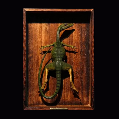 Figura REBOR Set de Disección Compsognathus Longipes