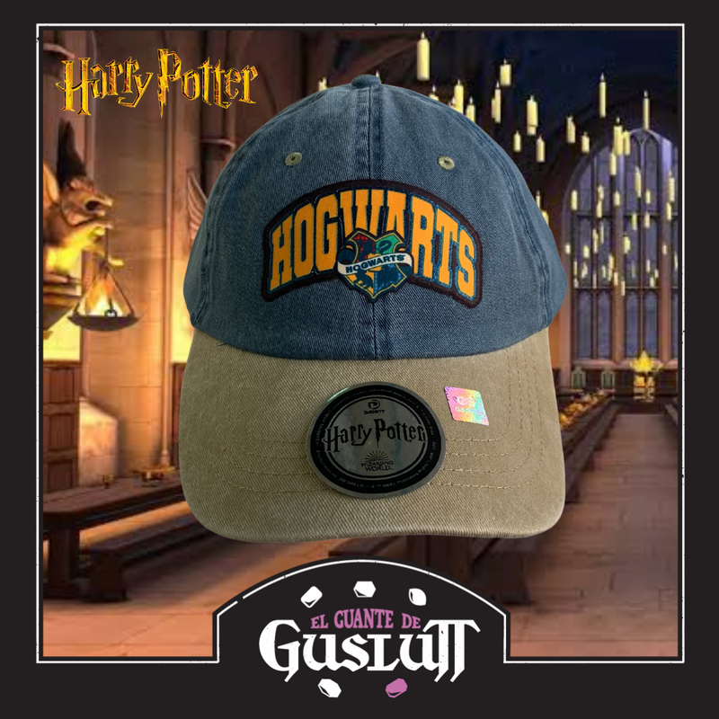 Gorra Harry Potter Hogwarts Azul-Beige Vintage
