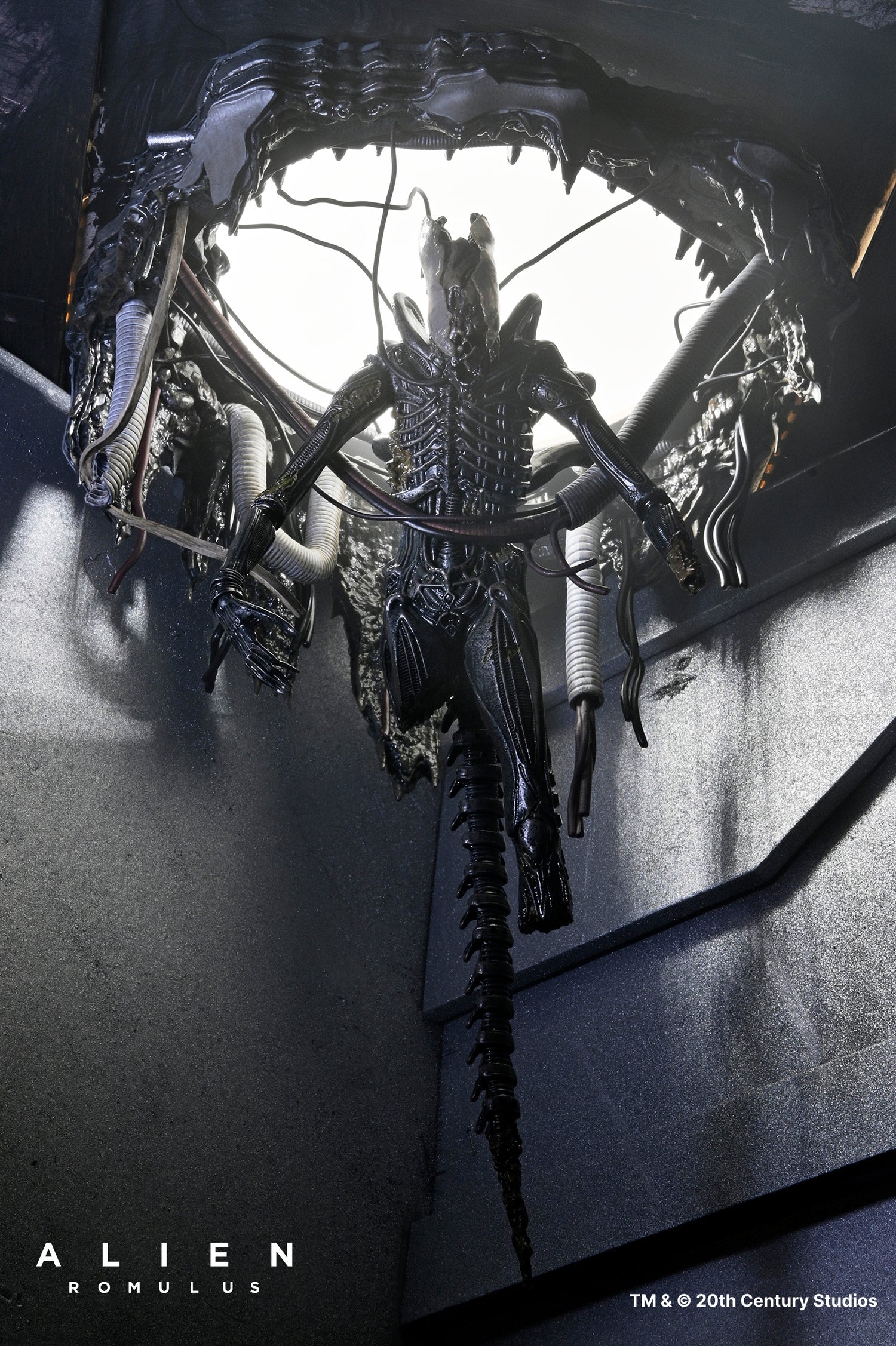 Set Diorama NECA Alien Romulus Suspended Lab Xenomorph XX121