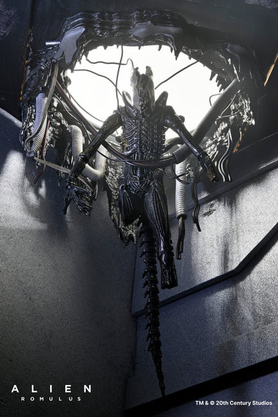 Set Diorama NECA Alien Romulus Suspended Lab Xenomorph XX121