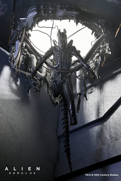 Set Diorama NECA Alien Romulus Suspended Lab Xenomorph XX121