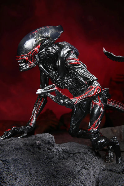 Figura NECA Aliens Tributo Kenner Night Cougar Alien Versión Ultimate