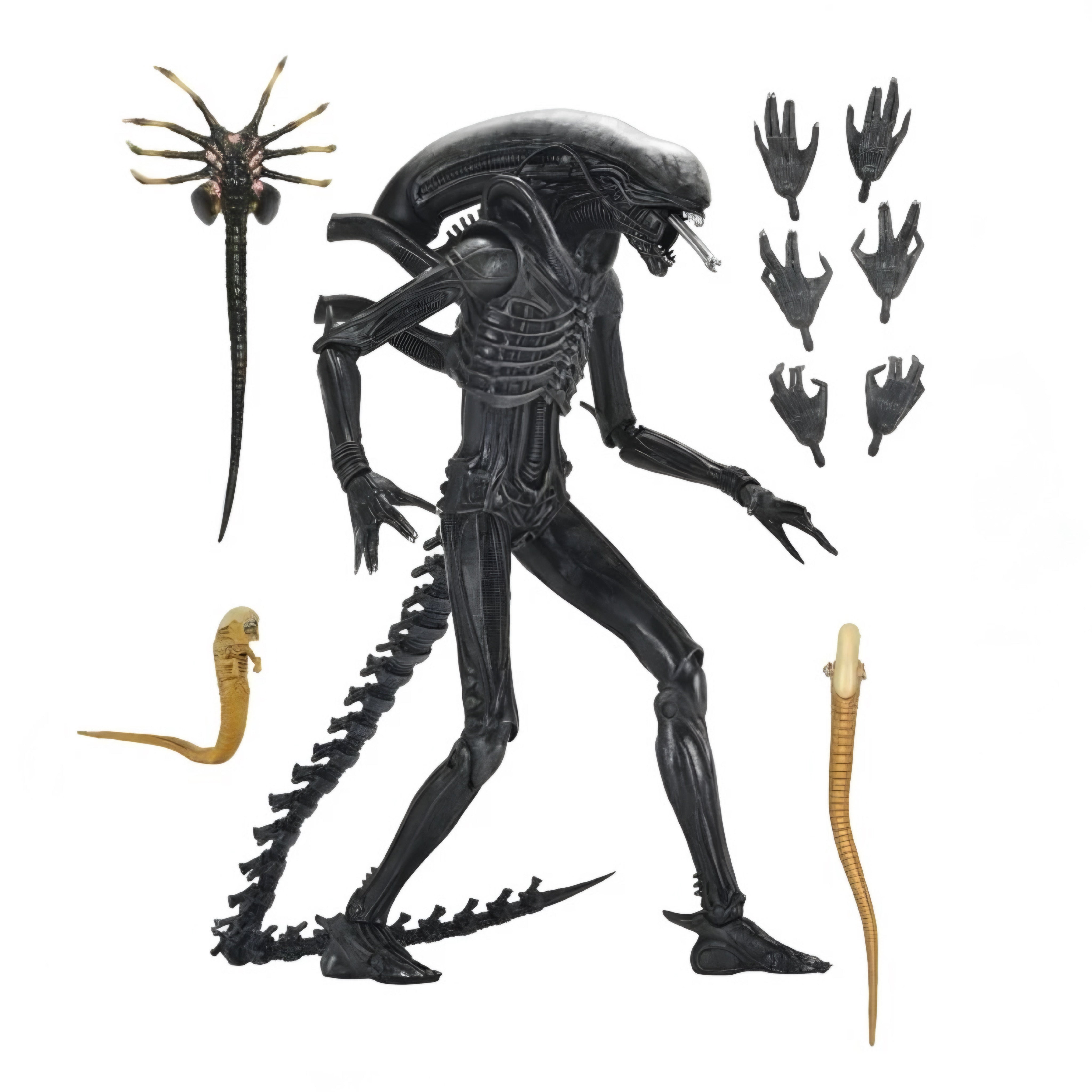 Figura NECA Alien Romulus Xenomorph XX121 Versión Ultimate