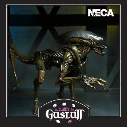 Figura NECA Aliens Fireteam Elite Runner Alien