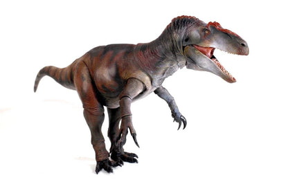Beasts of the Mesozoic “Allosaurus Jimmadseni”