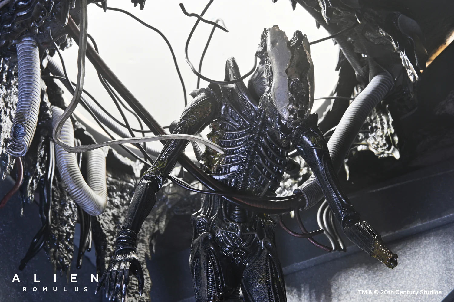 Set Diorama NECA Alien Romulus Suspended Lab Xenomorph XX121