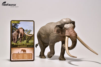 Figura Eofauna Straight-Tusked Elephant Escala 1/35
