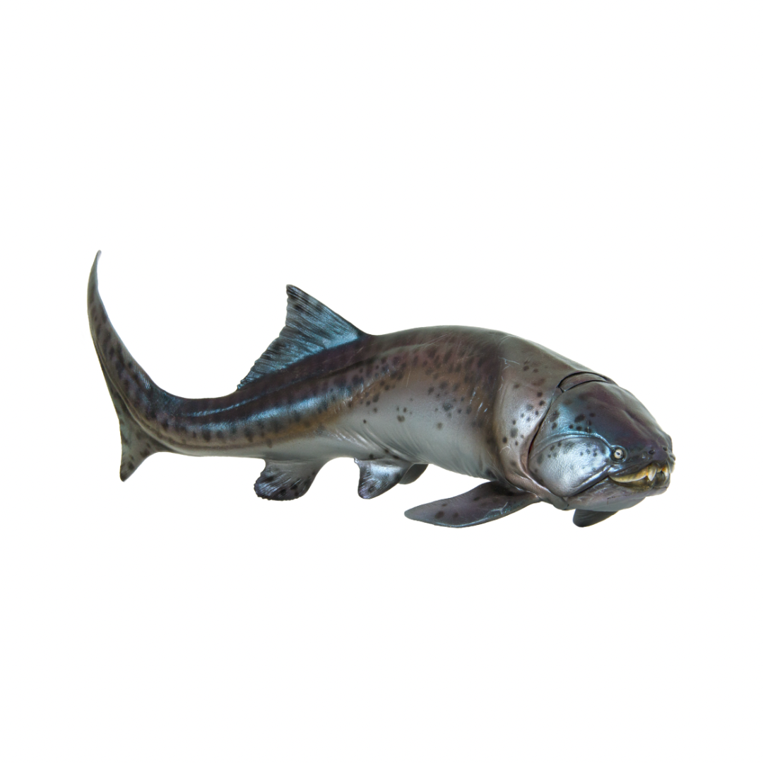 Figura PNSO Zaha The Dunkleosteus