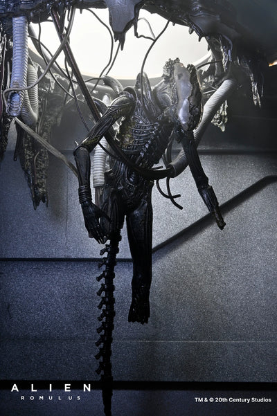 Set Diorama NECA Alien Romulus Suspended Lab Xenomorph XX121