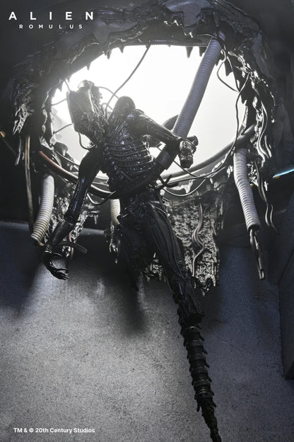 Set Diorama NECA Alien Romulus Suspended Lab Xenomorph XX121