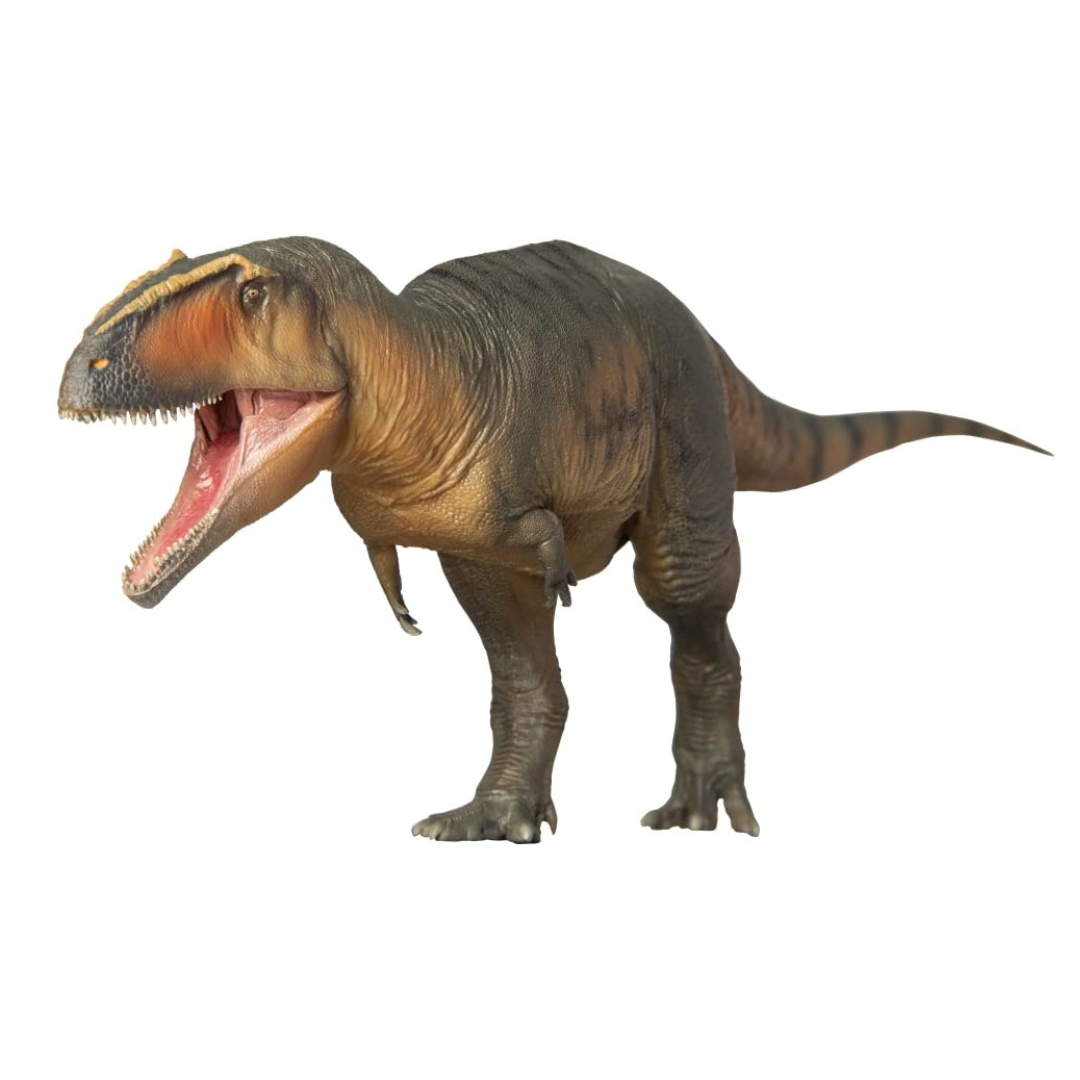 Figura PNSO Lucas The Giganotosaurus