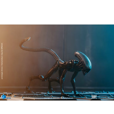 Figura Hiya Toys Dog Alien Escala 1/18